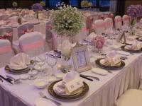 ����ʹ���˚gӭ����